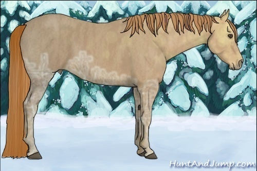Horse Color:Chestnut Ice  Brindle