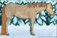 Horse Color:Chestnut Ice Brindle
