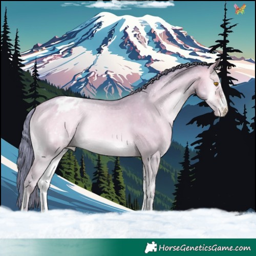Horse Color:Watercolor Amber Champagne Onyx Sabino Varnish Rabicano