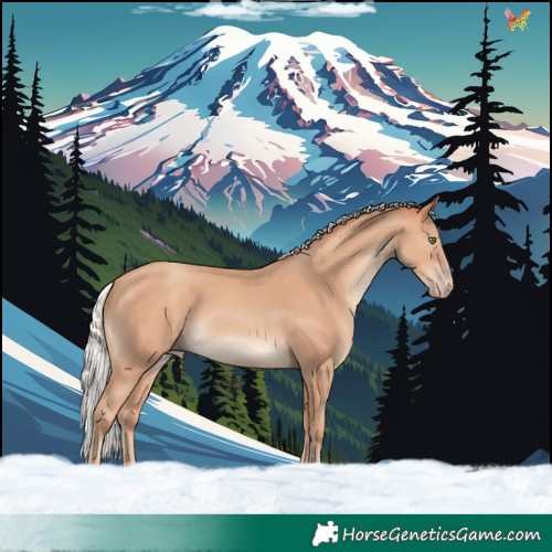 Horse Color:Silver Classic Champagne 