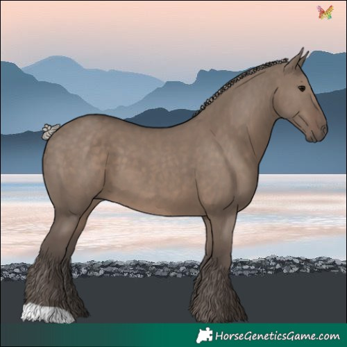 Horse Color:Silver Grullo 