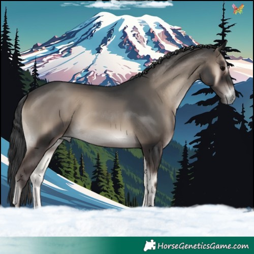 Horse Color:Blue Onyx 