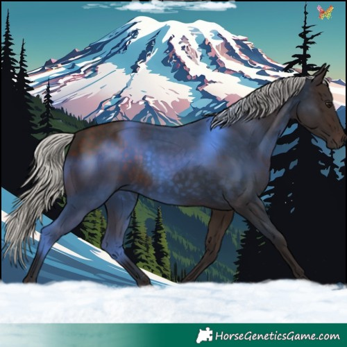Horse Color:Silver Brown 