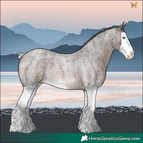 Horse Color:Silver Brown Roan Splash 