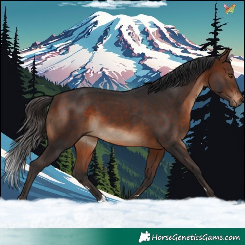 Horse Color:Brown 