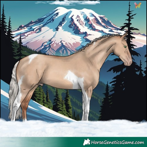 Horse Color:Silver Sable Champagne Dun Tobiano