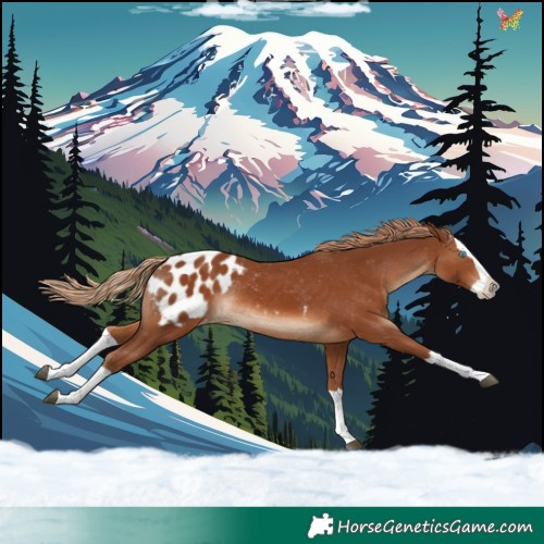 Horse Color:Chestnut Splash Blanket Rabicano 