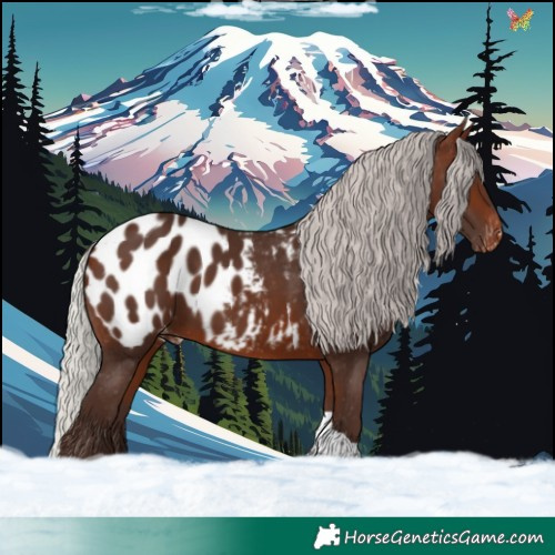 Horse Color:Silver Brown Tobiano Appaloosa