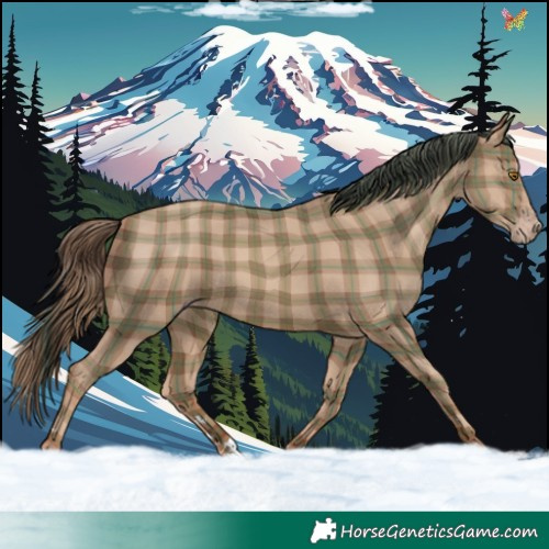 Horse Color:Plaid  Classic Champagne 