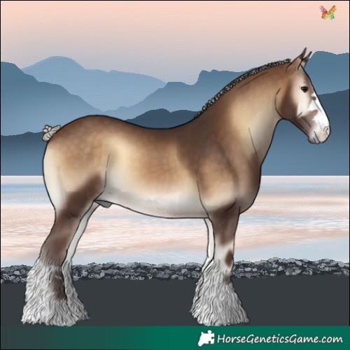 Horse Color:Silver Brown Onyx 