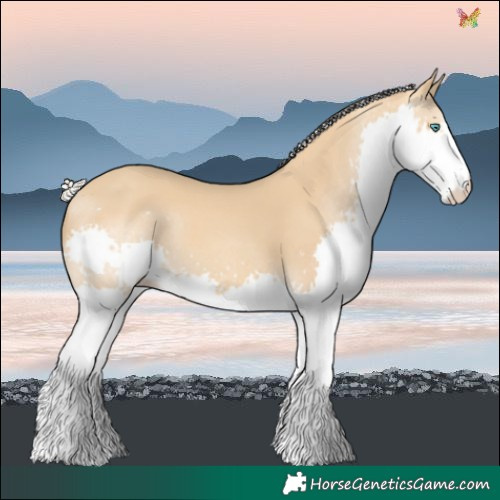 Horse Color:Silver Sable Cream Champagne Splash 
