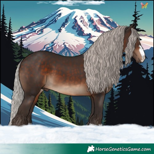 Horse Color:Silver Brown