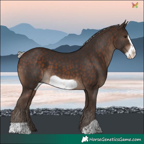 Horse Color:Silver Brown Frame 