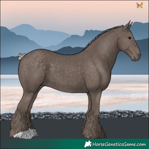 Horse Color:Silver Black 
