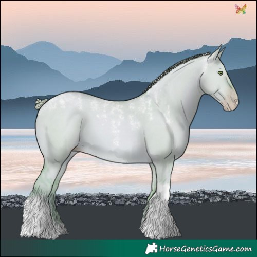 Horse Color:Powder White Watercolor Gold Champagne Dun Tobiano 