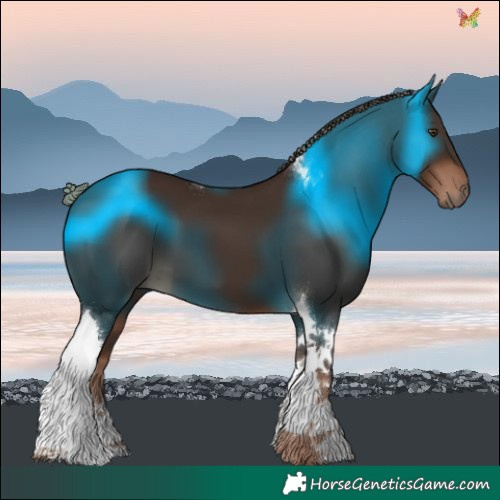Horse Color:Liver Chestnut Tobiano 