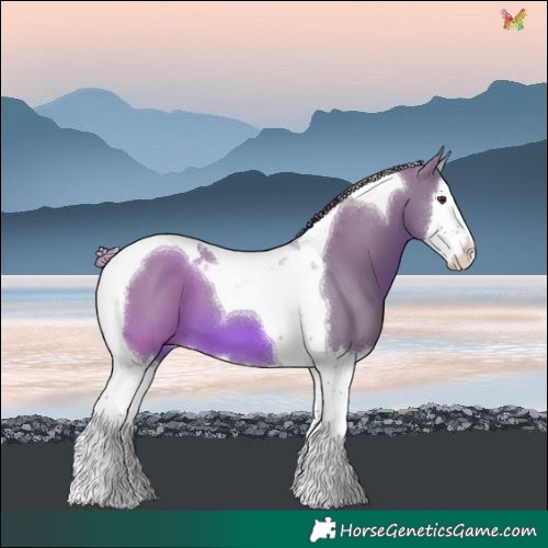 Horse Color:Watercolor Chestnut Splash Tobiano 