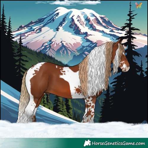 Horse Color:Chestnut Splash Tobiano 