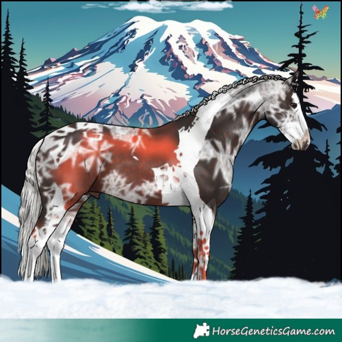Horse Color:Silver Brown Ice Splash Tobiano