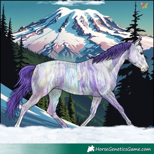 Horse Color:Watercolor Liver Chestnut Ice Sabino Tobiano Rabicano 