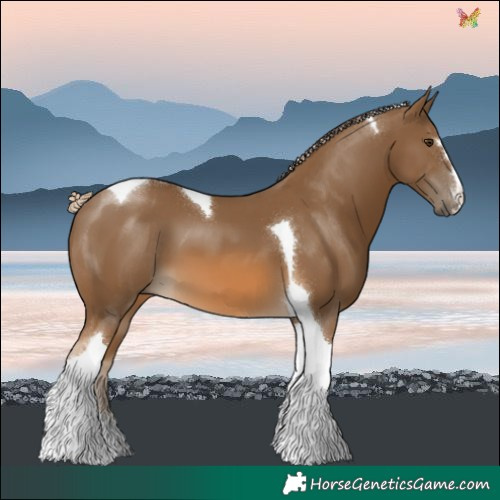 Horse Color:Chocolate Palomino Tobiano 