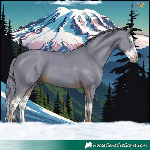 Horse Color:Watercolor Liver Chestnut Splash