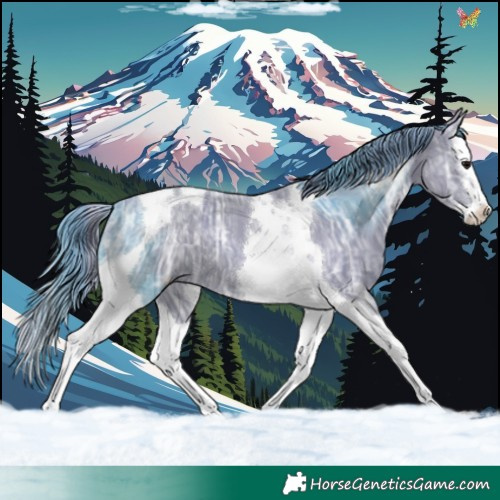 Horse Color:Watercolor Black Ice Splash Tobiano 