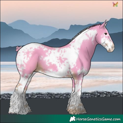 Horse Color:Watercolor Liver Chestnut Splash Tobiano 