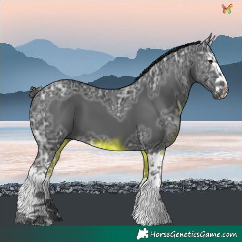 Horse Color:Liver Chestnut Ice Splash 