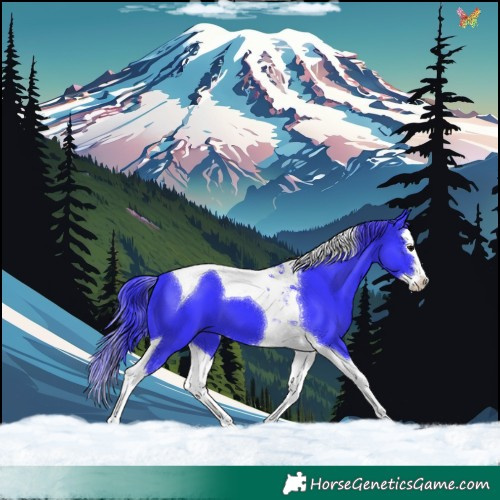 Horse Color:Watercolor Black Splash Tobiano 