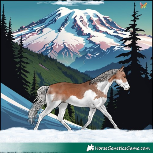 Horse Color:Silver Bay Splash 