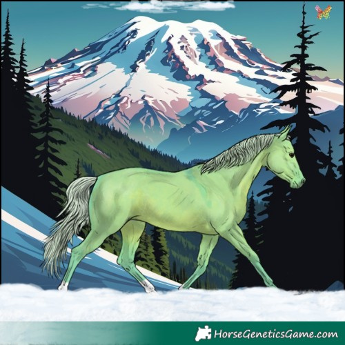Horse Color:Watercolor Silver Grullo 