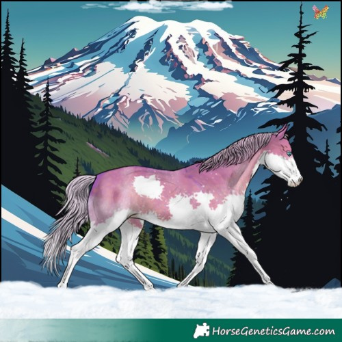 Horse Color:Watercolor Silver Grullo Splash 