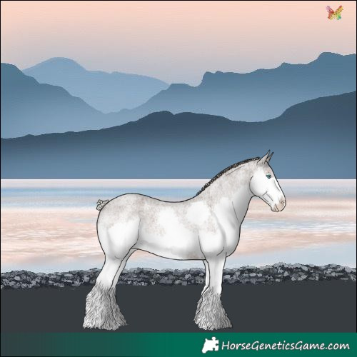 Horse Color:Silver Blue Roan Splash 