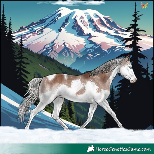 Horse Color:Silver Black Splash Tobiano 