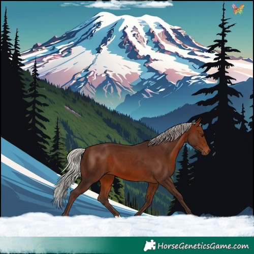 Horse Color:Silver Bay 