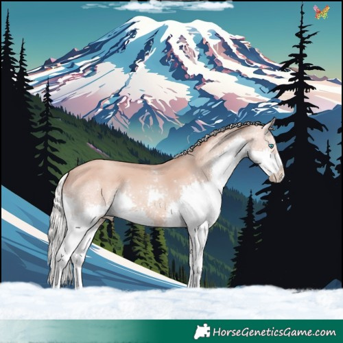 Horse Color:Silver Classic Champagne Splash