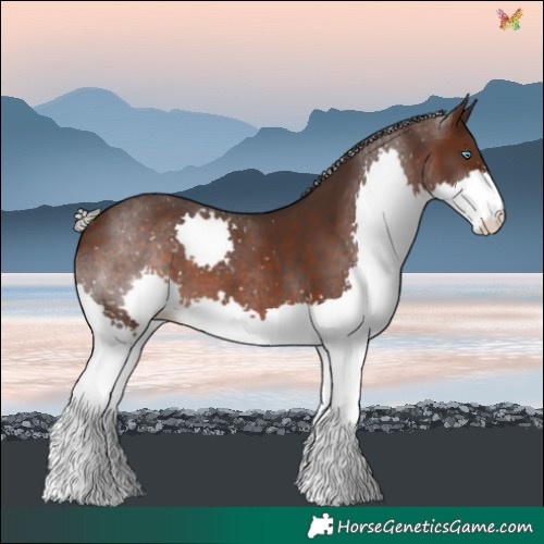 Horse Color:Silver Brown Splash 