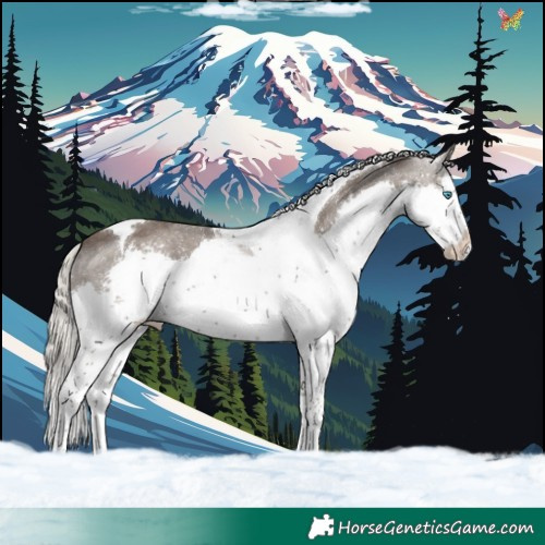 Horse Color:Silver Black Splash Tobiano 
