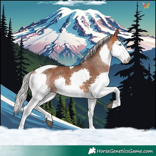Horse Color:Silver Brown Splash Tobiano