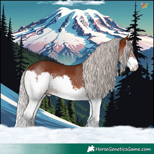 Horse Color:Silver Brown Splash 