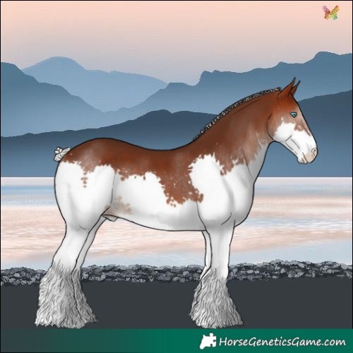 Horse Color:Silver Brown Splash 