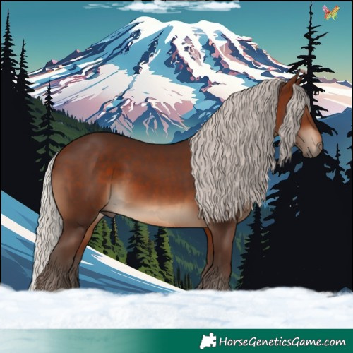 Horse Color:Silver Brown