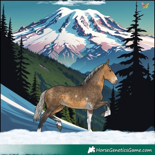 Horse Color:Silver Buckskin Tobiano 