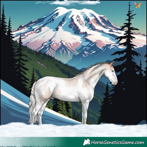 Horse Color:Silver Amber Champagne Roan Splash Tobiano