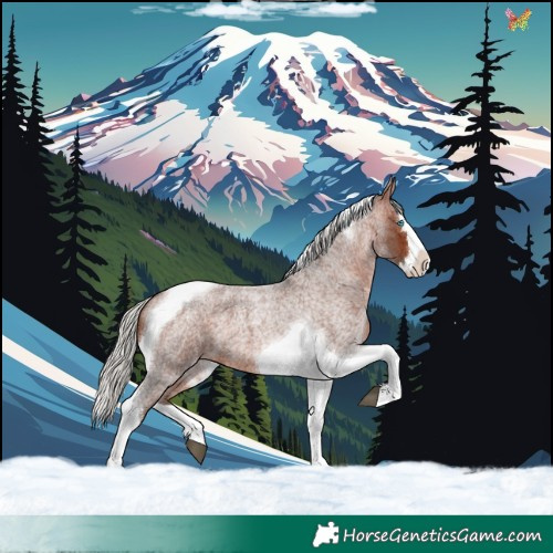 Horse Color:Silver Brown Roan Splash Tobiano