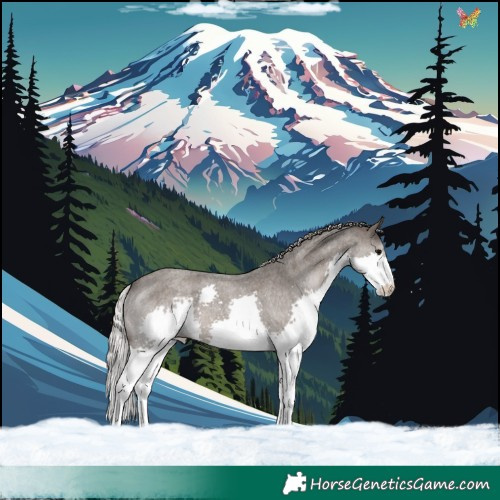 Horse Color:Silver Blue Roan Splash