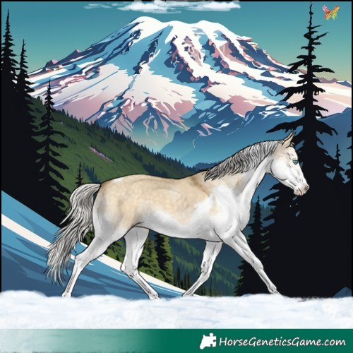Horse Color:Silver Classic Cream Champagne Dun Splash Tobiano 