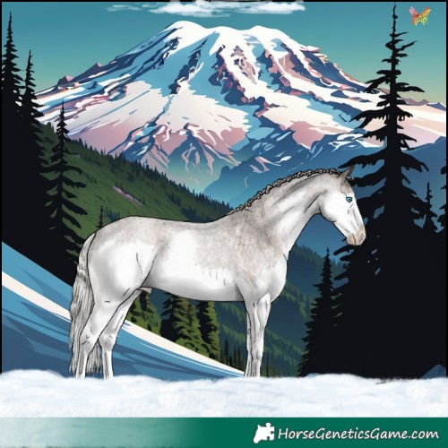 Horse Color:Silver Blue Roan Splash Tobiano