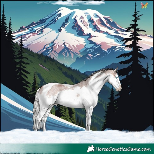 Horse Color:Silver Brown Roan Splash Tobiano